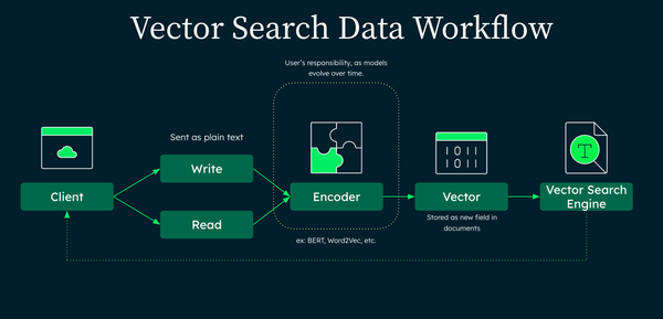 vector search data workflow